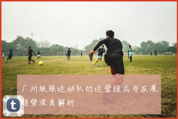 广州极限运动队的运营模式与发展趋势深度解析